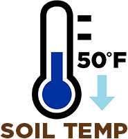 Soil Temp at 50 degrees or less