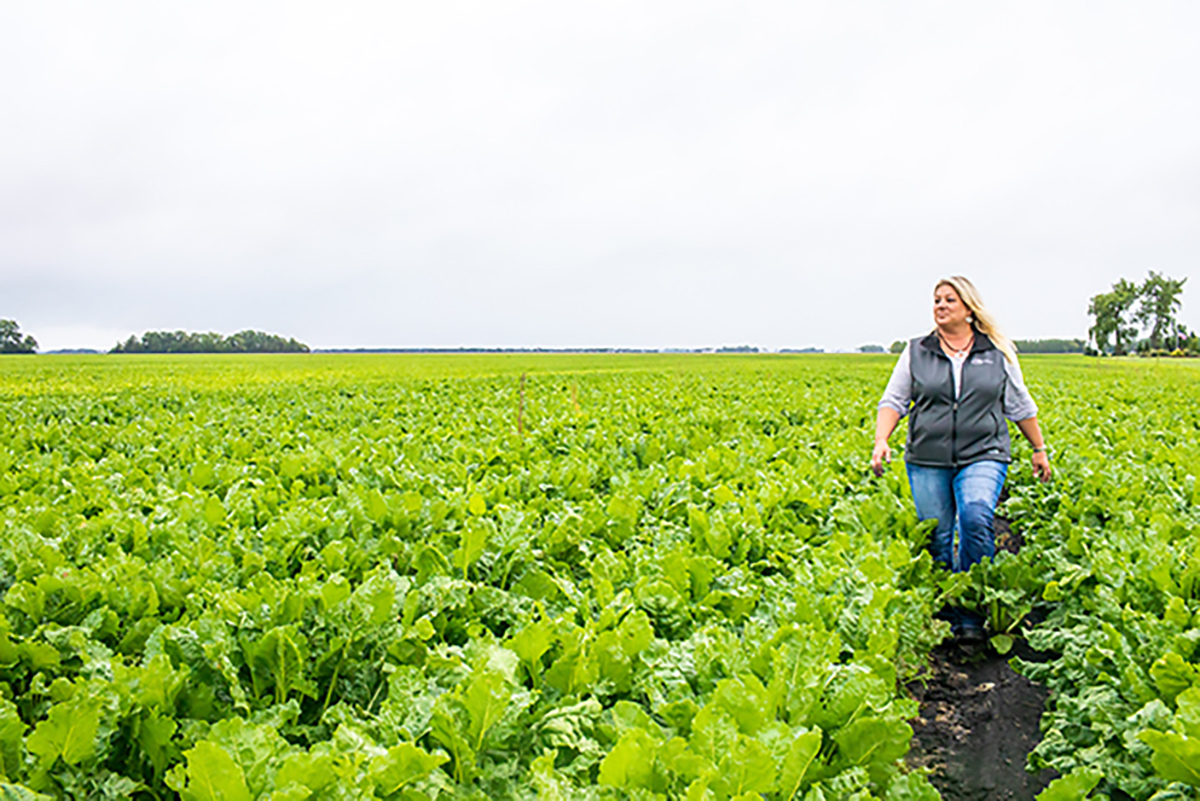 Woman walking through a sugar beet field