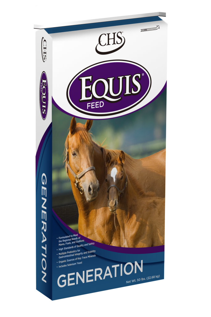 Generation Equis Feed bag