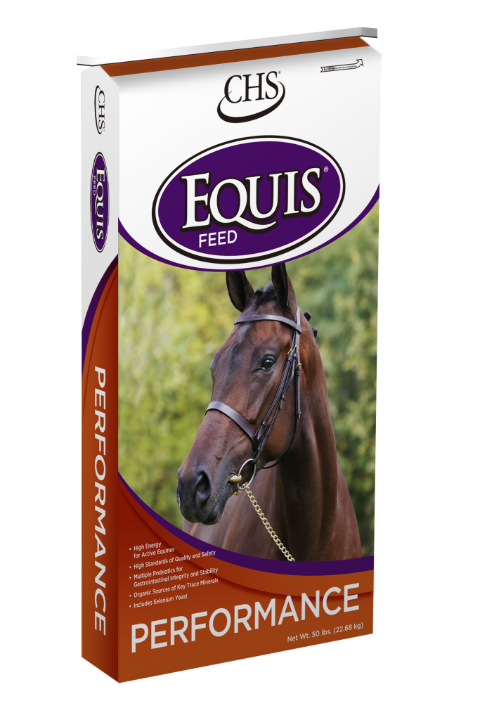 Performance Equis Feed bag