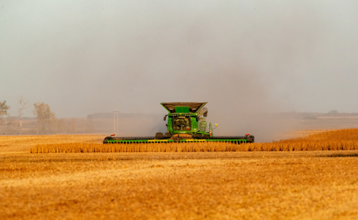 Combine harvesting crops in a field
